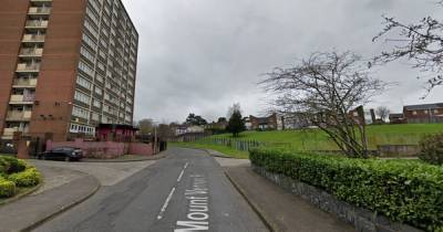 Man stabbed mother after suffering brain damage in iron bar attack by her partner - www.dailyrecord.co.uk - city Belfast