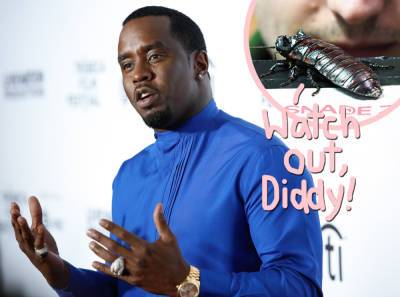 Diddy Claims He Once Woke Up With '15 Roaches' On His Face -- And Twitter Has A Field Day! - perezhilton.com