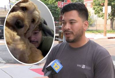 Dog Owner Searching For Pet After 'Sitter' Stops Responding, Police Investigating - perezhilton.com - New Jersey