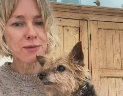 Naomi Watts Shares Touching Tribute After Loss Of Beloved Dog Bob: ’20 Years Of Love’ - etcanada.com - Australia