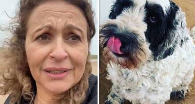 Loose Women's Nadia Sawalha quits social media as dog rushed to vet after falling ill - www.msn.com
