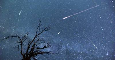 Perseid meteor showers 2021 - best time see shooting stars in Scotland tonight - www.dailyrecord.co.uk - Scotland