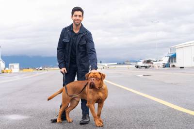 Josh Peck Discusses ‘Turner & Hooch’, Canine Co-Stars, Drool & Family-Friendly Adventure - etcanada.com