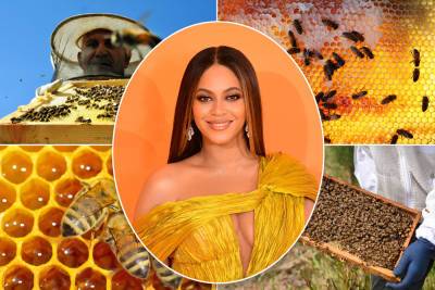 Bee-yond! Beyoncé reveals she is raising honey bees at home - nypost.com - New Orleans - county Jay - county Hampton