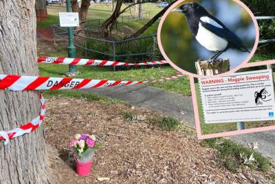 Freak Accident Claims Infant's Life -- Baby Girl Killed In Tragic Bird Attack - perezhilton.com - Australia - USA