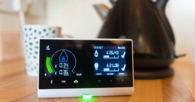 Homes are divided over the benefits of energy saving smart meters - www.dailyrecord.co.uk - Britain