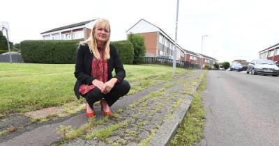 Councillor hits out at opposition over North Lanarkshire Council weedkiller ban - www.dailyrecord.co.uk - Britain