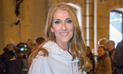Celine Dion posts remarkably rare family photo and she looks so different - hellomagazine.com