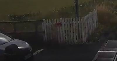 Car almost gets taken out by a train in the Lake District after ignoring red light - www.manchestereveningnews.co.uk - Lake