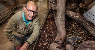 Scots man's shock reunion with python after 35 years in M&D's theme park enclosure - www.dailyrecord.co.uk - Scotland - Germany