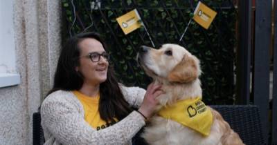 Take the lead and join Beatson Cancer Charity's second Paw Walk - www.dailyrecord.co.uk