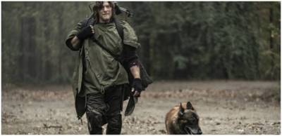 Walking Dead Fans Worried For Daryl’s Dog In Season 11 - www.hollywoodnewsdaily.com