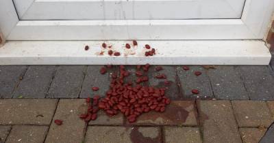 Mum's important warning after being targeted by clever kidney bean burglary trick - www.manchestereveningnews.co.uk