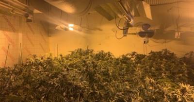 Police finally leave scene of huge £1 million cannabis farm after almost a week - www.manchestereveningnews.co.uk