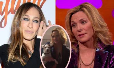 Shade Or No Shade?? Kim Cattrall Whips SATC Fans Into Frenzy With New 'Co-Star' Quip! - perezhilton.com