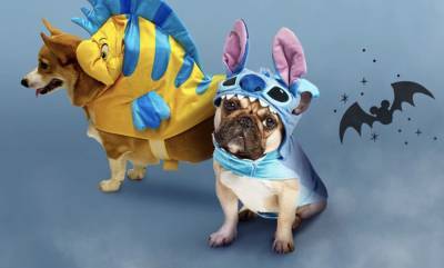 Your Pet Can Be Anyone They Want This Halloween, From Winifred Sanderson to Buzz Lightyear - variety.com - city Sanderson