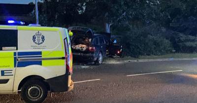 Driver hospitalised after motor ploughs into tree on Scots road leaving vehicle badly damaged - www.dailyrecord.co.uk - Scotland