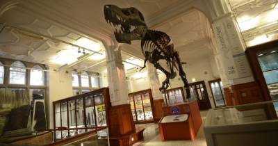 Manchester Museum - home of Stan the T-Rex - is closing for more than a year - www.manchestereveningnews.co.uk - Manchester
