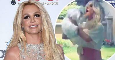 Britney Spears gets dogs BACK after housekeeper took them away - www.msn.com