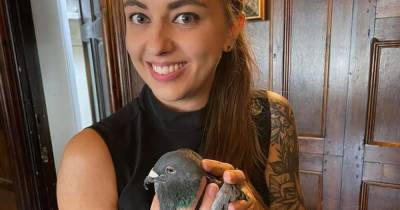 Scots racing pigeon walks into English pub after getting lost 148 miles from home - www.dailyrecord.co.uk - Britain - Scotland - county York