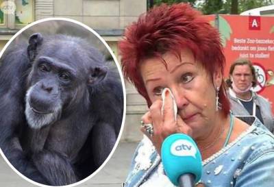 Zoo Bans Woman From Seeing Chimpanzee After 4-Year-Long 'Affair' - perezhilton.com - Belgium