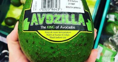 Tesco selling giant ‘AVOZILLA’ avocado that can serve up to 10 people for just £4 - www.dailyrecord.co.uk - Britain - South Africa