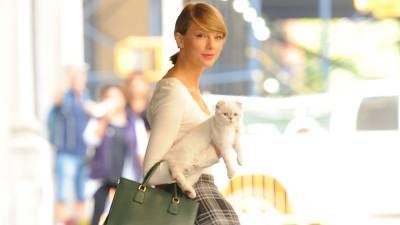 Taylor Swift Proves She's Officially a 'Cat Lady' in Funny New TikTok Video - www.etonline.com