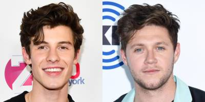Shawn Mendes Wants Niall Horan to Host a Talk Show But Niall Sees One Negative About That Plan! - www.justjared.com