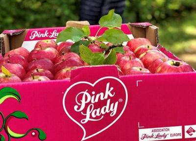 Win a dream garden makeover worth €1,500 with the nation’s favourite apple - evoke.ie - Ireland