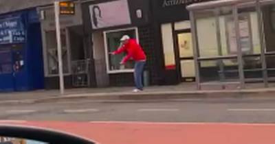 Woman who tries to feed seagull heckled 'that's no a dug' by cheeky Scots punter - www.dailyrecord.co.uk - Scotland