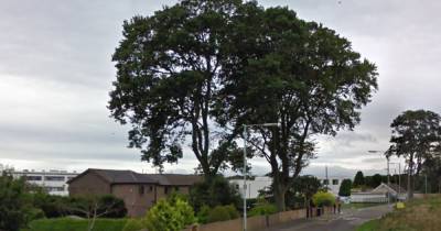 Probe as hooded thug attacks woman walking on Scots street - www.dailyrecord.co.uk - Scotland