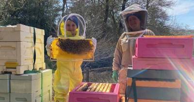 Mum quits job to become a professional beekeeper - and says daughter, 7, is her apprentice - www.manchestereveningnews.co.uk - Manchester