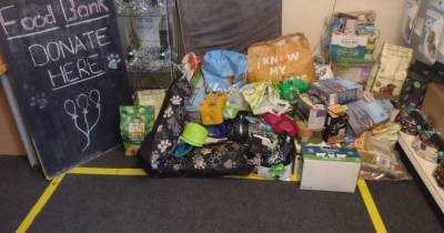 Food bank for dogs set up to help feed rescue animals - www.manchestereveningnews.co.uk - Manchester