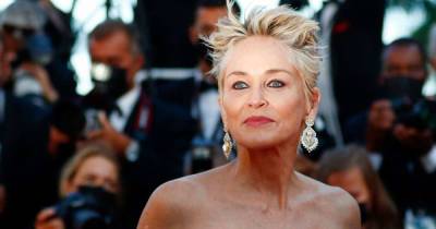 Sharon Stone announces her baby nephew has died days before his 1st birthday - www.msn.com - county Stone