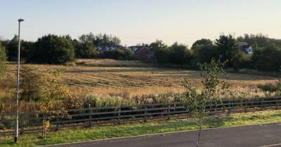 "We're just mowing the grass" say landowners after wildlife group fear haven is being cleared for housing development - www.manchestereveningnews.co.uk