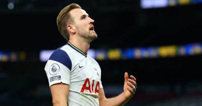 Dimitar Berbatov says Harry Kane will be 'suffering' in push for Man City move - www.manchestereveningnews.co.uk