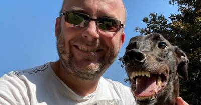 How ‘affectionate’ greyhound’s cheesy grin found him a new home - www.manchestereveningnews.co.uk - Manchester