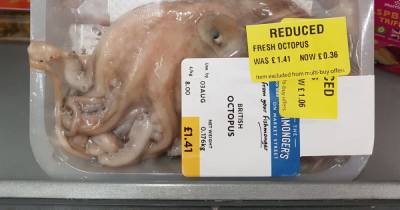 'Baby' octopus on sale at Morrisons for 36p sparks emotional debate - www.manchestereveningnews.co.uk