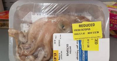 'Baby' octopus reduced to 36p at supermarket sparks emotional online debate - www.dailyrecord.co.uk - Manchester