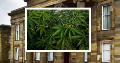 Noise of electric fans leads cops to massive Lanarkshire cannabis factory - www.dailyrecord.co.uk