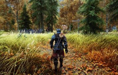 ‘Skyrim’ player shows off stunning gameplay with 500 mods enabled - www.nme.com