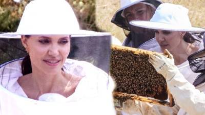 Angelina Jolie Demonstrates the Art of Beekeeping: Watch - www.etonline.com - France