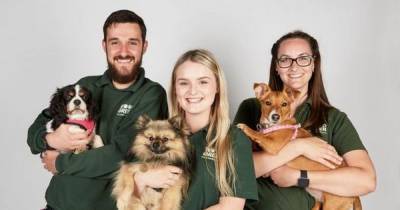 Channel 4's The Dog House is back and looking for participants searching for their perfect rescue dog - www.ok.co.uk
