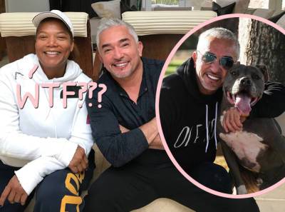 Cesar Millan's Pit Bull KILLED Queen Latifah's Dog, Then He Covered It Up, Claims Shocking New Lawsuit! - perezhilton.com
