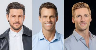 A Guide to Hallmark Channel’s Leading Men: Tyler Hynes, Cameron Mathison, Andrew Walker and More - www.usmagazine.com
