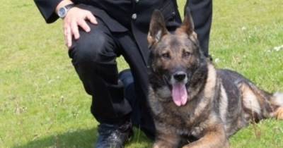 Police dog Bomber receives a bravery award for protecting his handler while coming under attack from a violent suspect - www.manchestereveningnews.co.uk