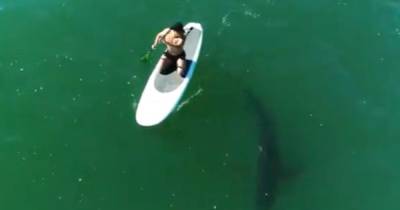 Orlando Bloom paddleboards metres from a great white shark in incredible footage - www.ok.co.uk