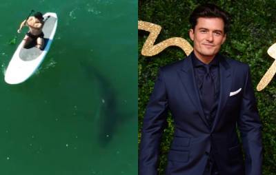 Watch Orlando Bloom paddleboarding with a great white shark - www.nme.com - California