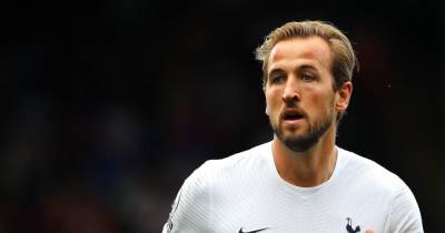 Dimitar Berbatov explains why Harry Kane will still be thinking about failed Man City transfer - www.manchestereveningnews.co.uk - Manchester