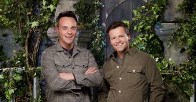 How much do I'm A Celebrity 2021 line-up get paid to take part in ITV show? - www.msn.com - Australia - Britain